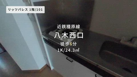 動画