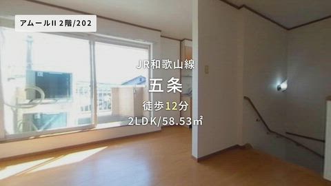 動画