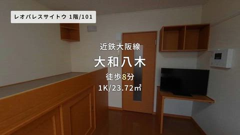 動画