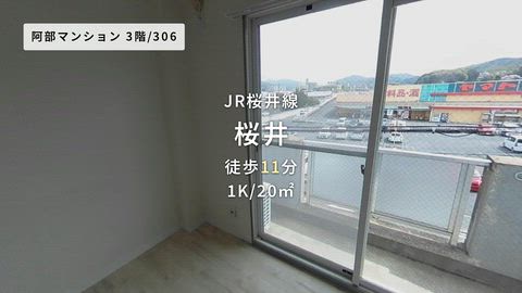 動画