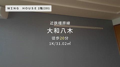 動画