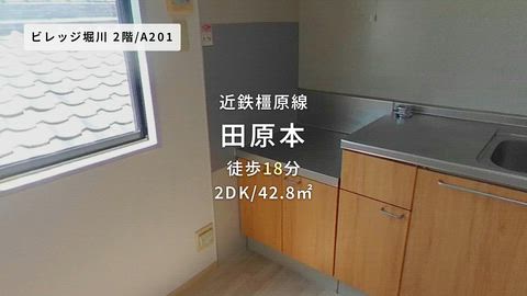 動画