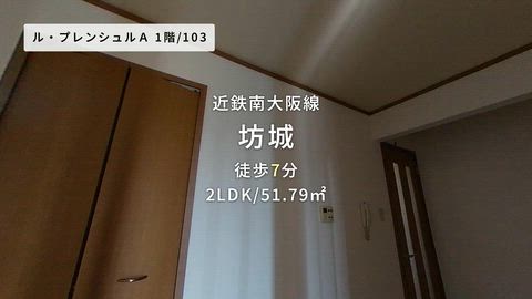 動画
