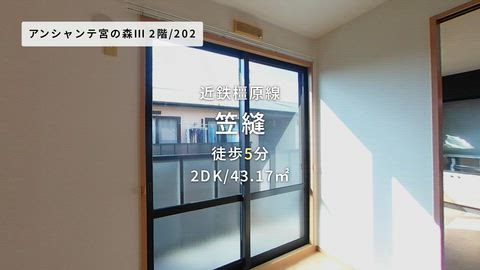 動画