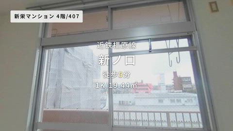 動画