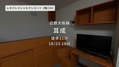 動画