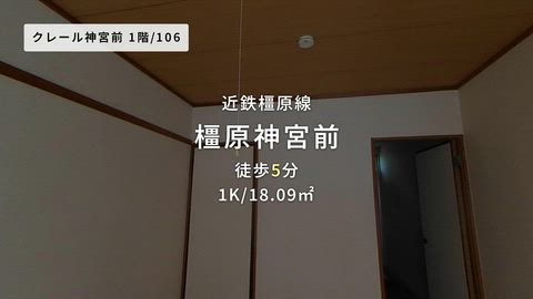 動画