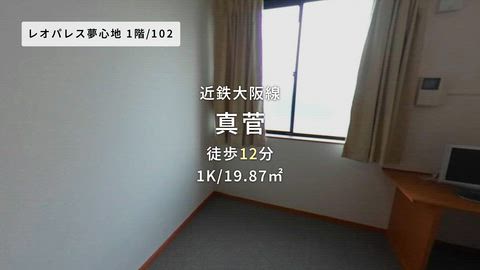 動画