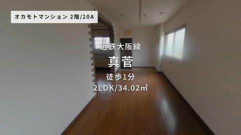 動画