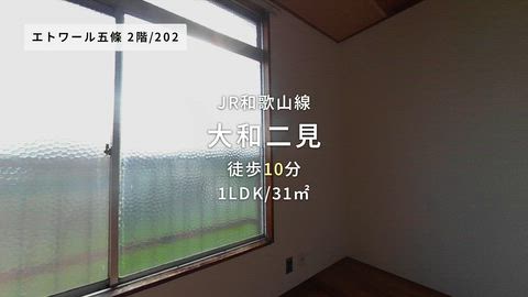 動画