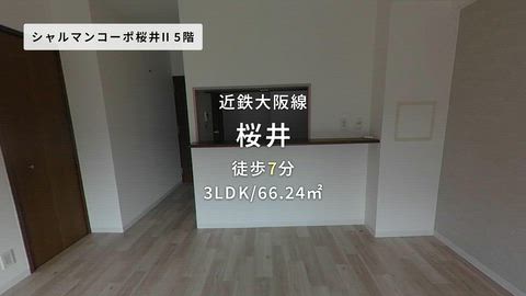 動画