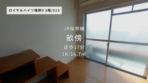 動画