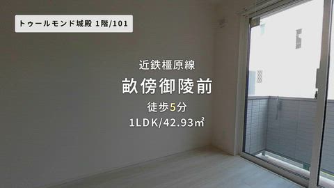 動画