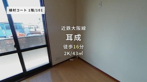 動画