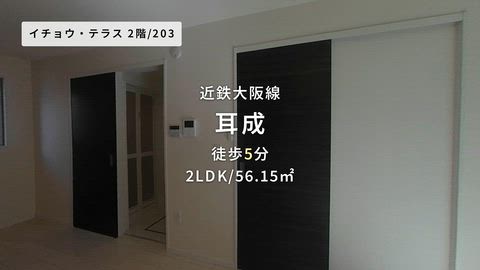 動画