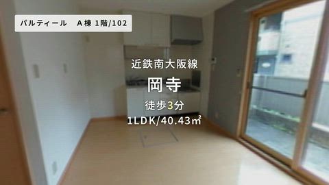 動画