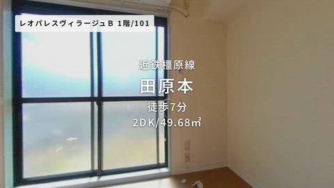 動画