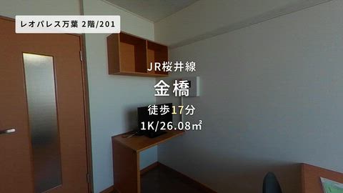 動画
