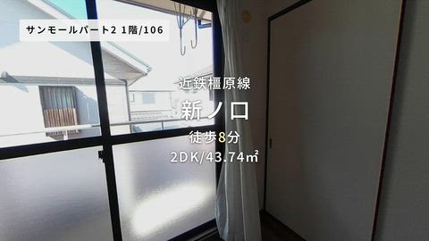 動画