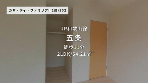動画