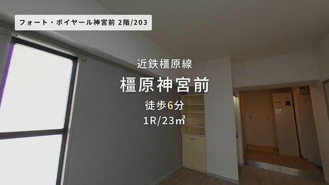 動画