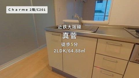 動画