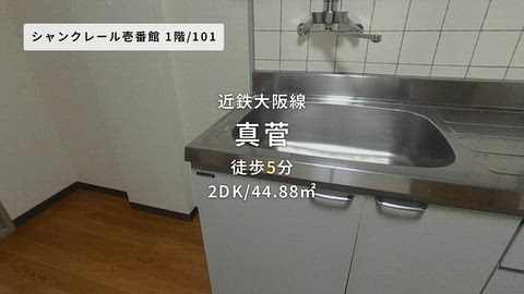 動画
