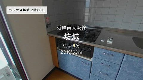 動画