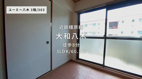 動画