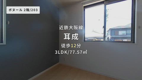 動画