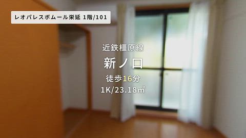 動画