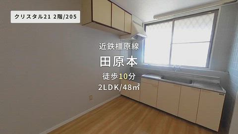 動画