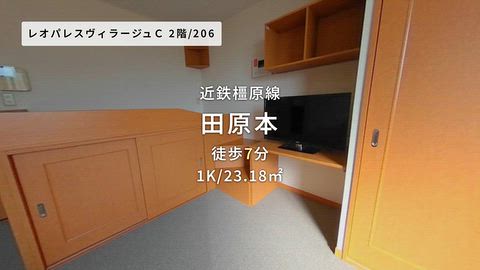 動画