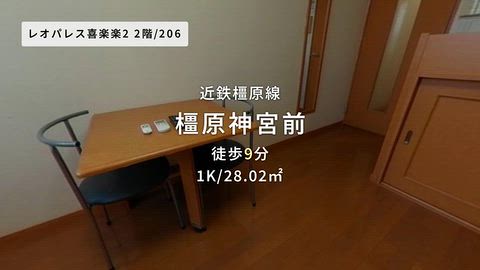 動画