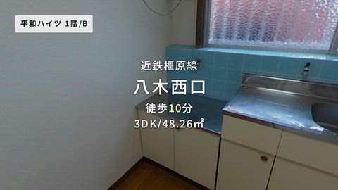 動画