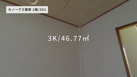 紹介ムービー