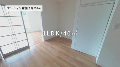 動画
