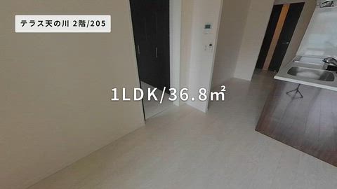 紹介ムービー
