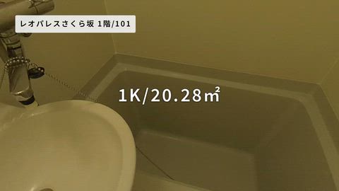 紹介ムービー