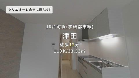 動画