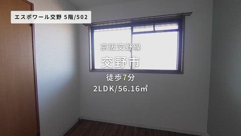 紹介ムービー