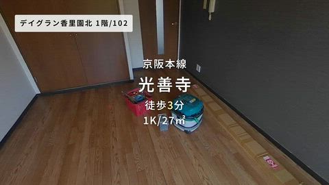 動画
