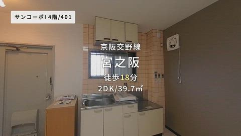 動画