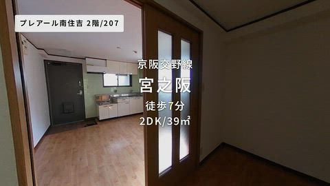 動画