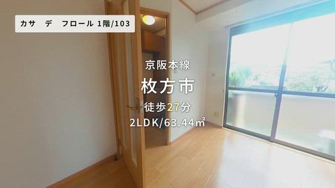 動画