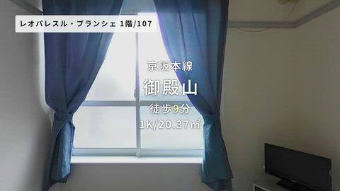 紹介ムービー