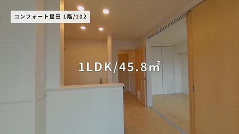 紹介ムービー