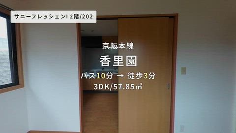 動画