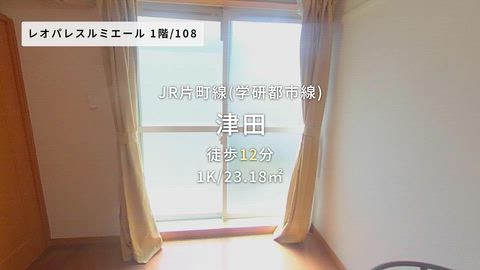 動画