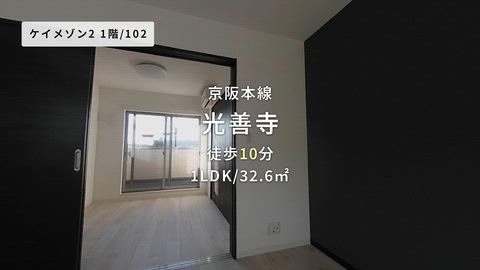 動画